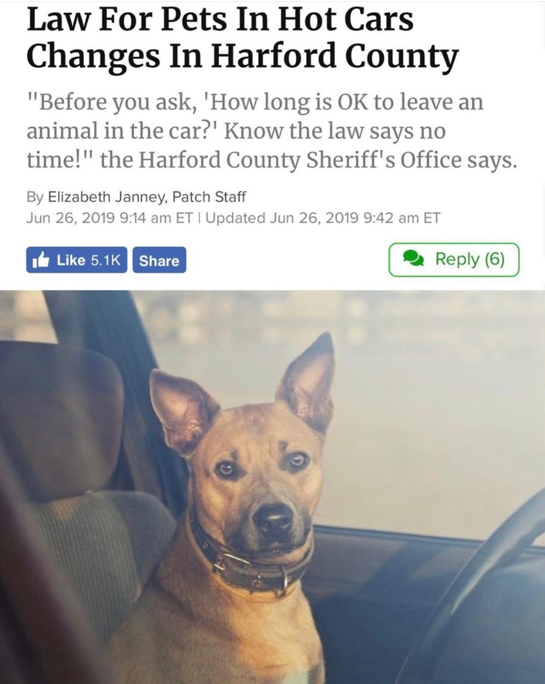 LAW FOR PETS IN HOT CARS CHANGES IN HARFORD MD!