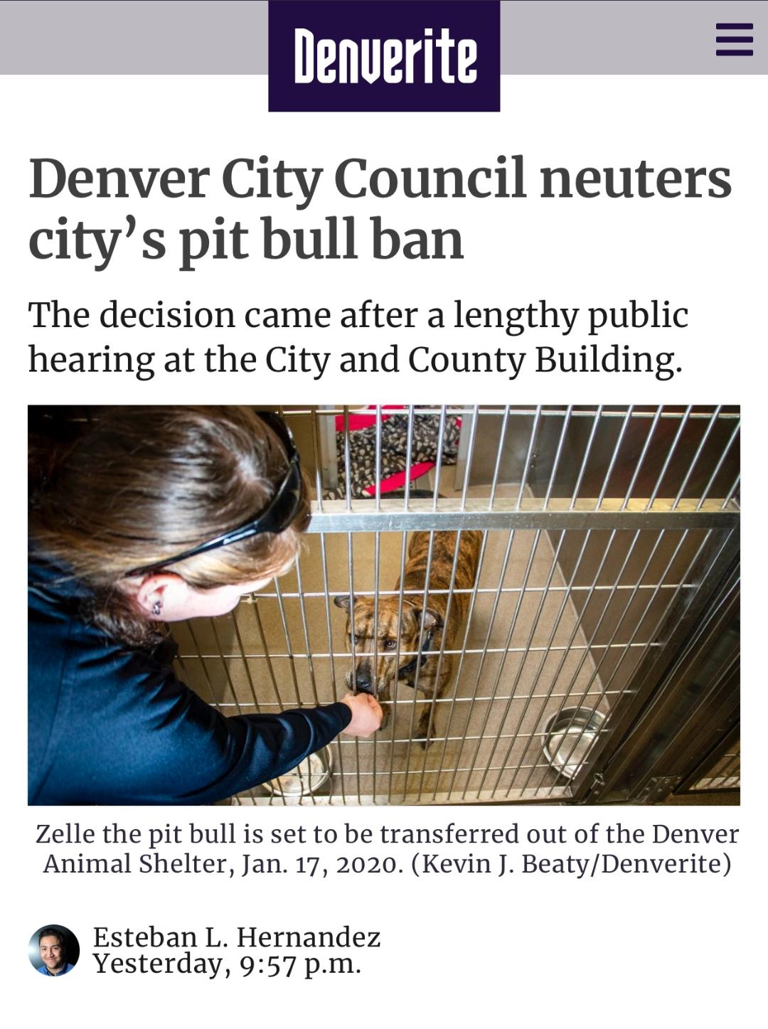 DENVER FINALLY ENDS 30 YEAR GENOCIDE AGAINST DOGS LABELED PIT BULLS