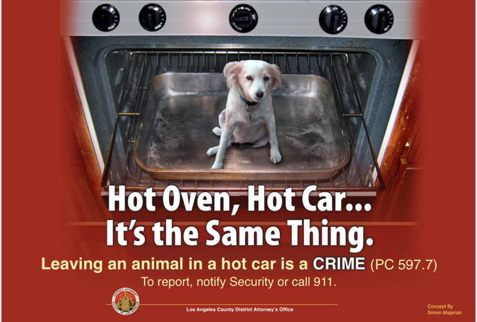 It is a CRIME to leave a dog in a hot car.