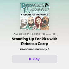 Stand Up For Pits with Rebecca Corry  | Pawsome University
