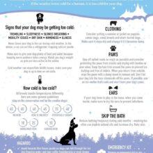 DO NOT LEAVE DOGS OUT IN THE COLD!!!