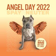 Spay & Neuter ANGEL DAY 2022 starts April 2nd!!