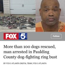 Dogfighting is en epidemic is America