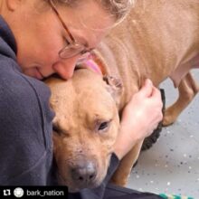 Angel Grant recipient dogfighting survivor update!