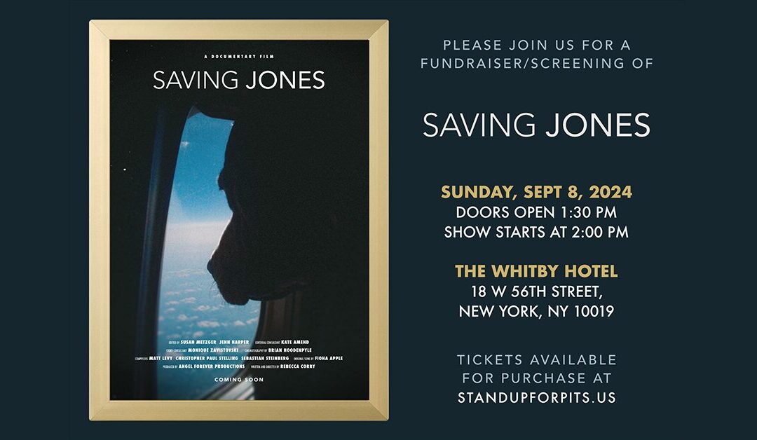 SAVING JONES New York City tickets on sale July 4th!