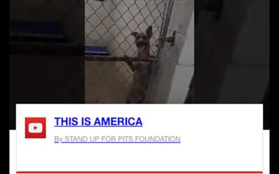 THIS IS AMERICA