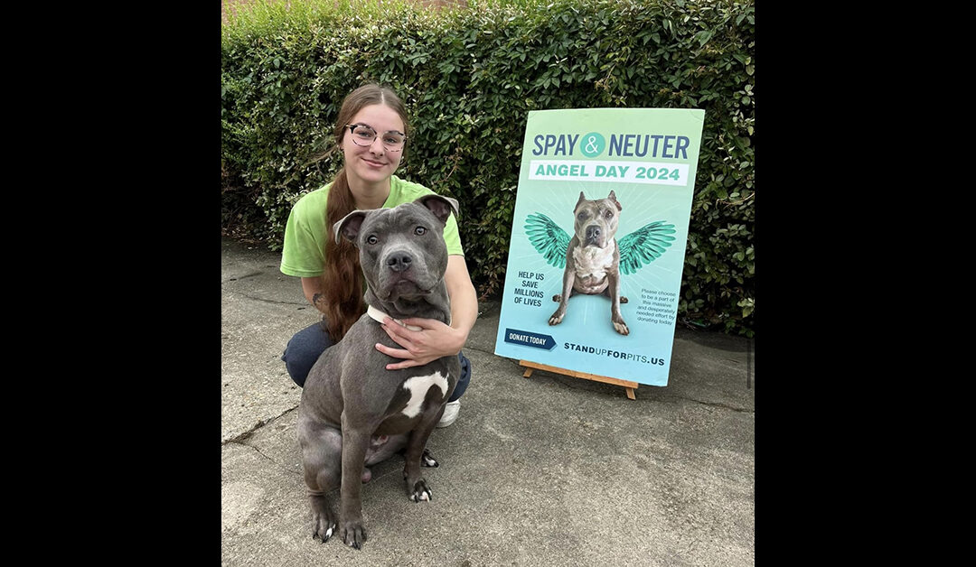 Spay & Neuter Angel Day Louisiana