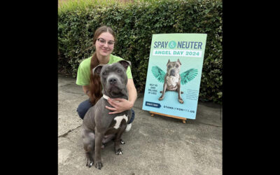 Spay & Neuter Angel Day Louisiana