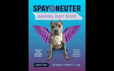 SPAY & NEUTER ANGEL DAY 2025!!!