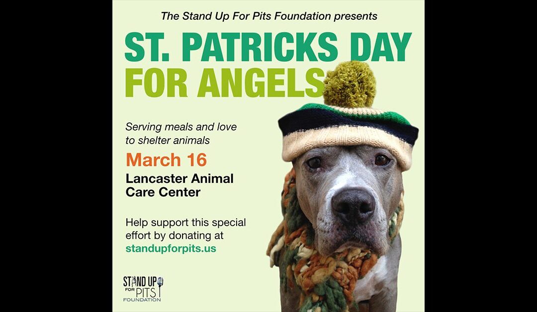 SUFP ST. PATRICKS DAY FOR ANGELS!