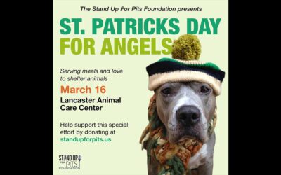 SUFP ST. PATRICKS DAY FOR ANGELS!