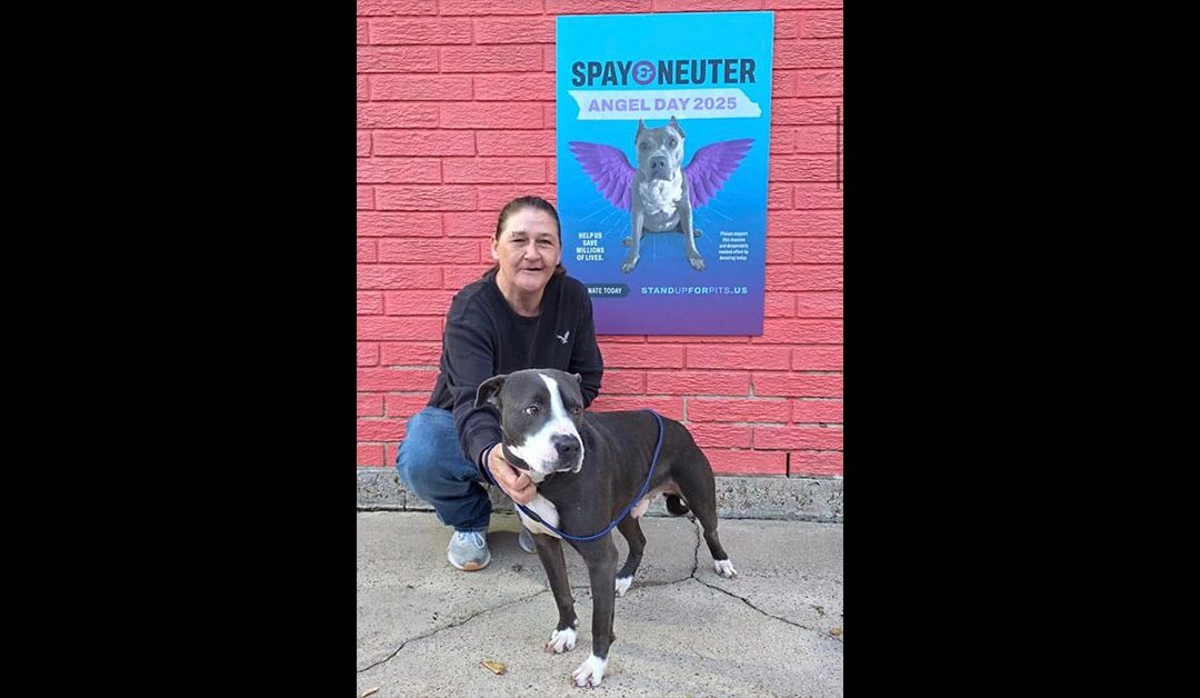 SPAY & NEUTER ANGEL DAY CONTINUES ON IN LOVING MEMORY OF ANGEL IN LOUSIANA!!!