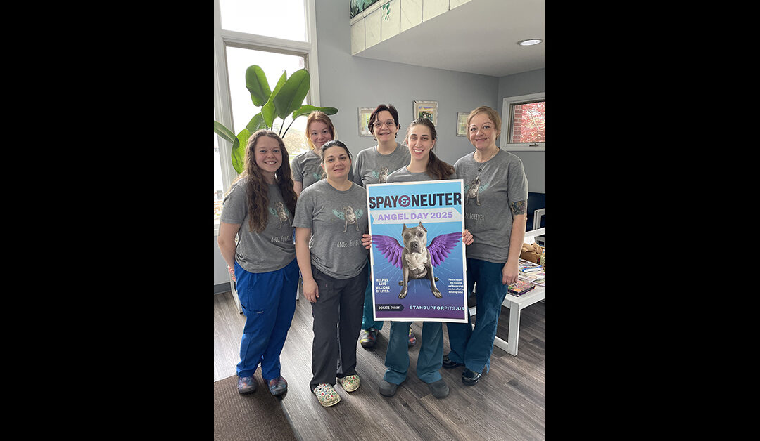 Spay & Neuter Angel Day continues to save live nationwide!
