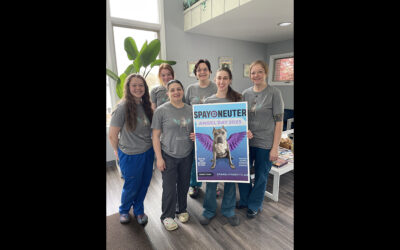 Spay & Neuter Angel Day continues to save live nationwide!