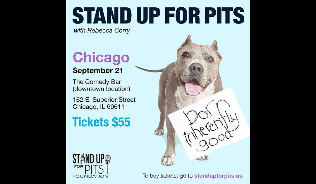 CHICAGO Stand Up For Pits is next!