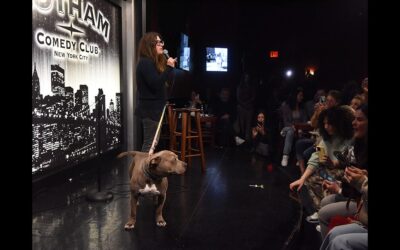 STAND UP FOR PITS NEW YORK CITY..it was AMAZING!!!
