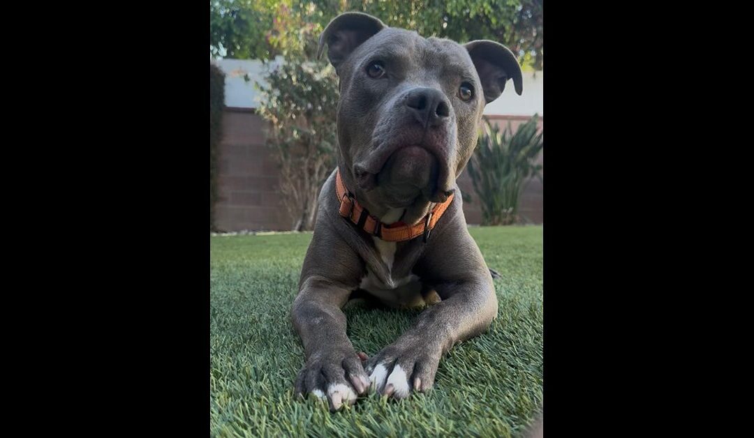 STOP WHAT YOUR’RE DOING AND LOOK AT FRED!