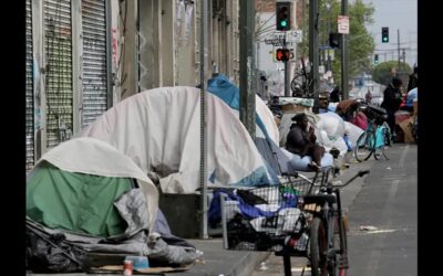 Dogs Are Dying On Skid Row and City Officials Are Letting It Happen, Animal Activist Says