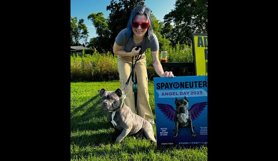 Spay & Neuter Angel Day continues on in Tennessee today in loving memory of our beautiful Angel!