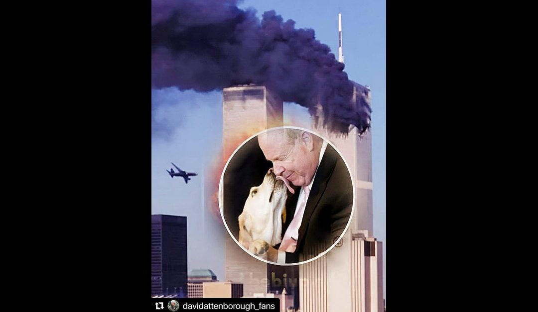 NEVER FORGET