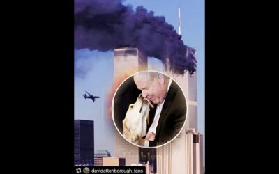 NEVER FORGET
