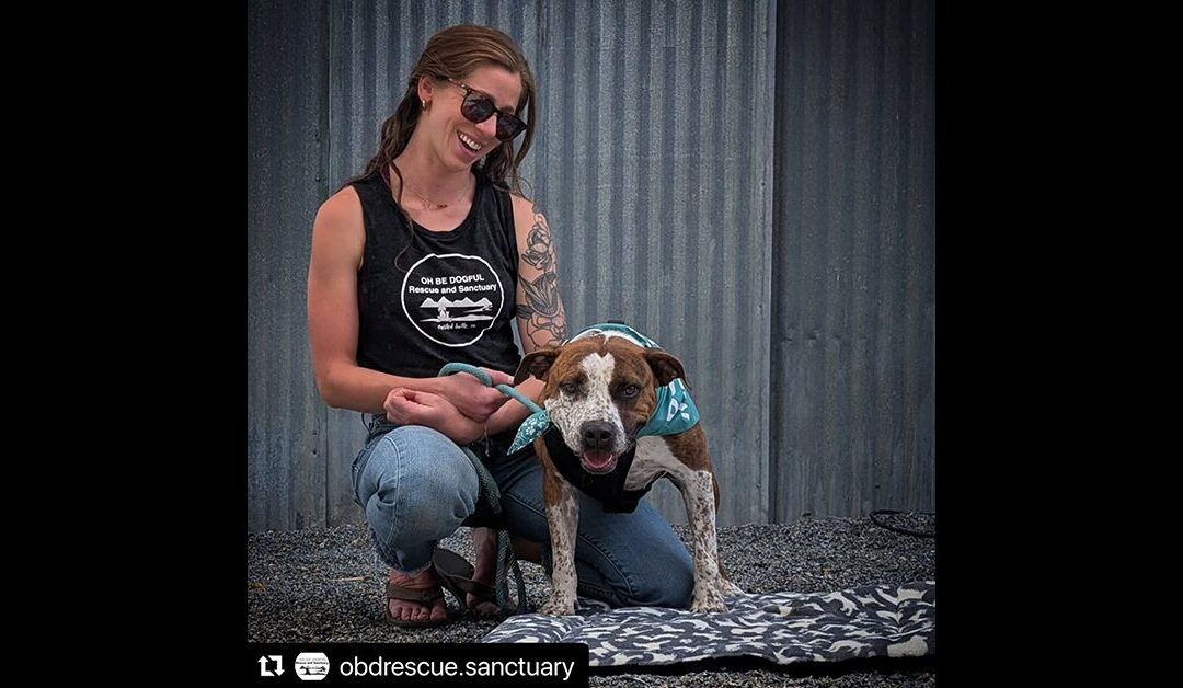 OBD RESCUE AND SANCTUARY SCREENED SAVING JONES AND SO CAN YOU!