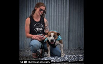 OBD RESCUE AND SANCTUARY SCREENED SAVING JONES AND SO CAN YOU!