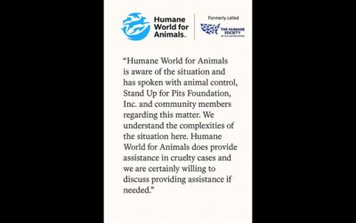 HUMANE WORLD FOR ANIMALS IS STANDING BY TO HELP THE LOS ANGELES ANIMAL CRUELTY CRISIS IN LOS ANGELES