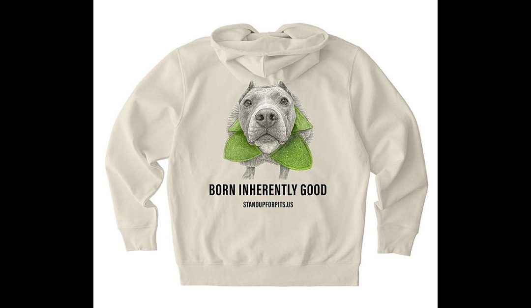 NEW SUFP MERCHANDISE LAUNCHES THIS FRIDAY!!!