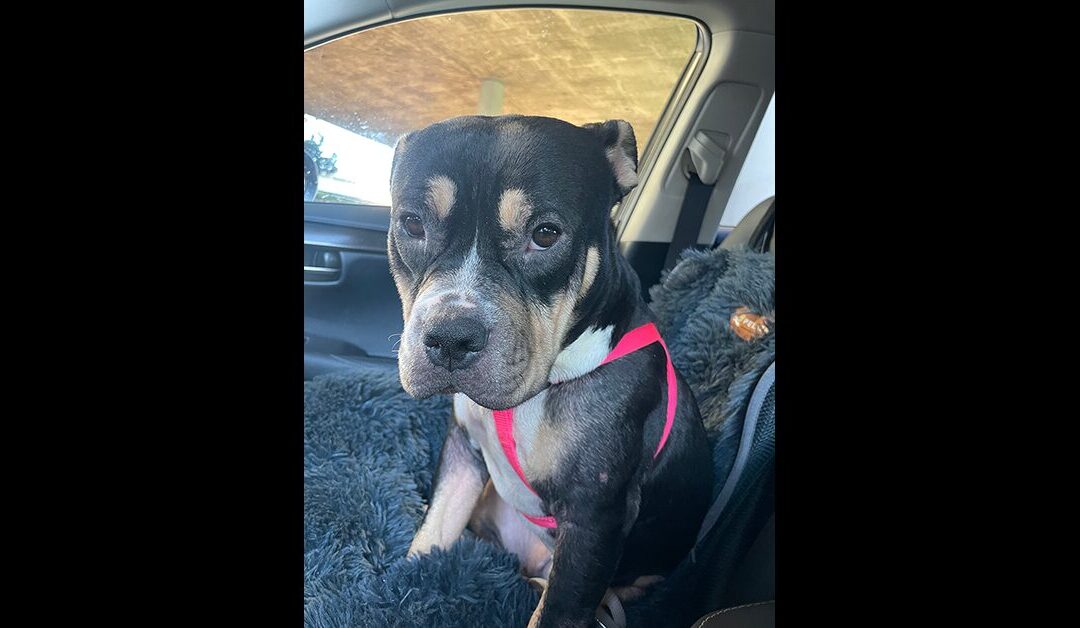 FLOWER NEEDS A HOME!!!! PLEASE SHARE!!!