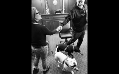 MARK GERAGOs JOINS SUFP LEGAL TEAM TO END ANIMAL CRUELTY AND KILLING IN LOS ANGELES
