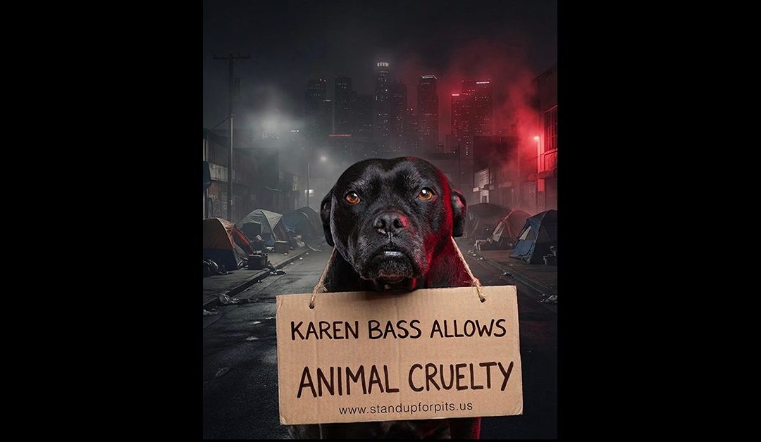 HELP END THE SUFFERING AND KILLING OF DOGS IN LOS ANGELES
