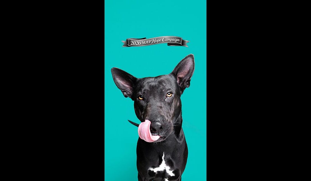 SUFP HOPE CAMPAIGN, BUDDY HAS BEEN ADOPTED! But wait there’s more… EDRIC GOT ADOPTED TOO!