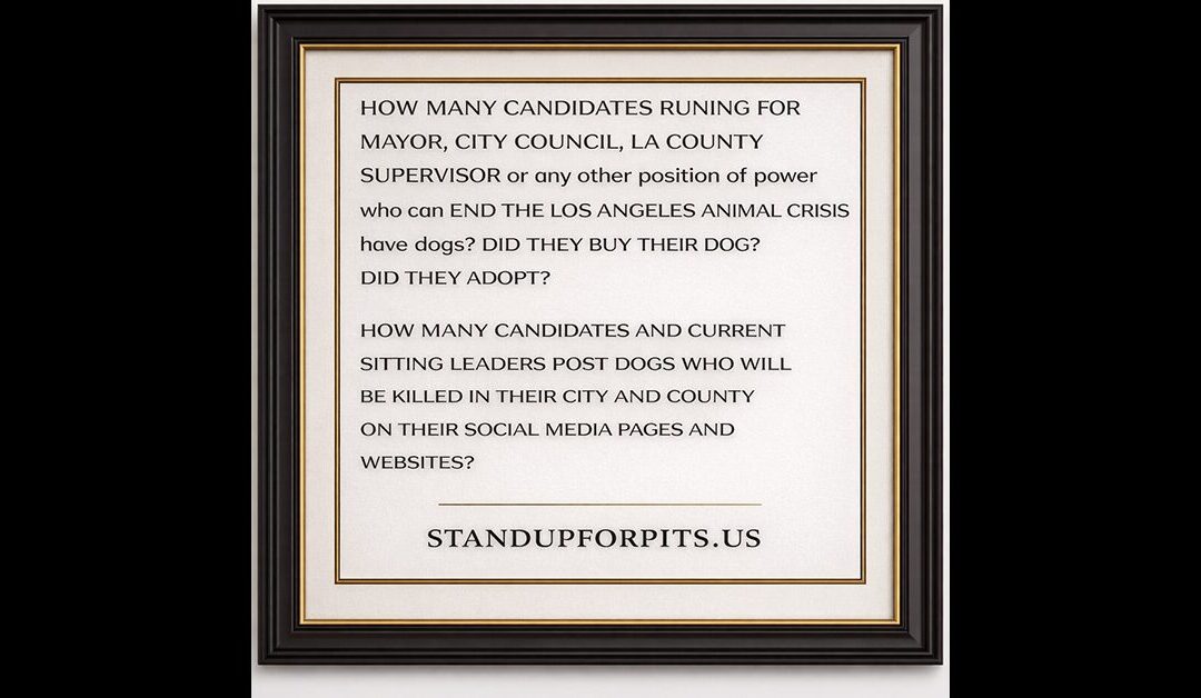 SUFP FOUNDATION TOWN HALL MAY 3rd!! DO NOT MISS IT!