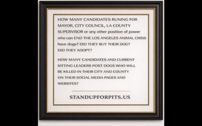 SUFP FOUNDATION TOWN HALL MAY 3rd!! DO NOT MISS IT!