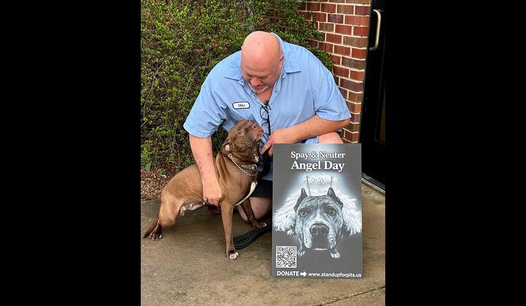 Our Spay & Neuter Angel Day program happened in Tennessee!