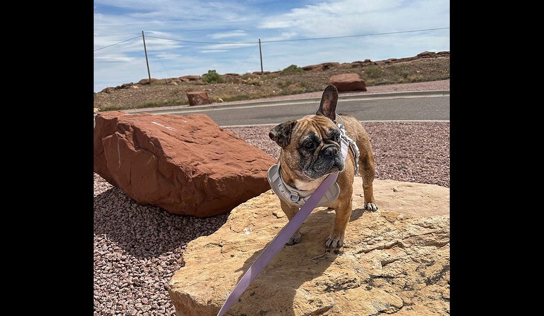 GLADYS UPDATE!