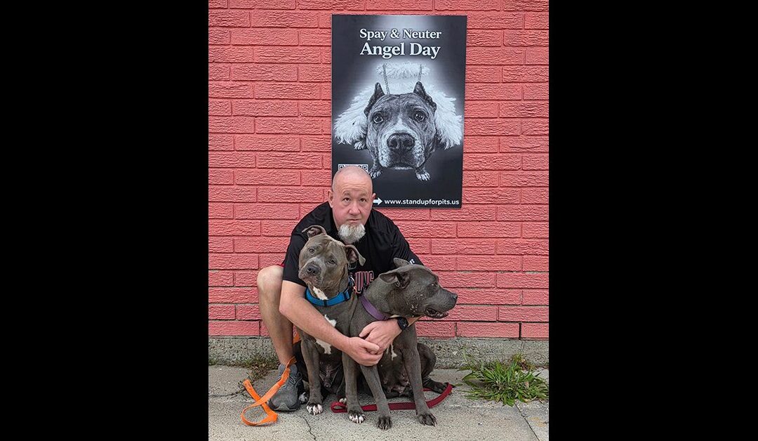 OUR SPAY & NEUTER ANGEL DAY PROGRAM CONTINUES ON IN LOUISIANA!