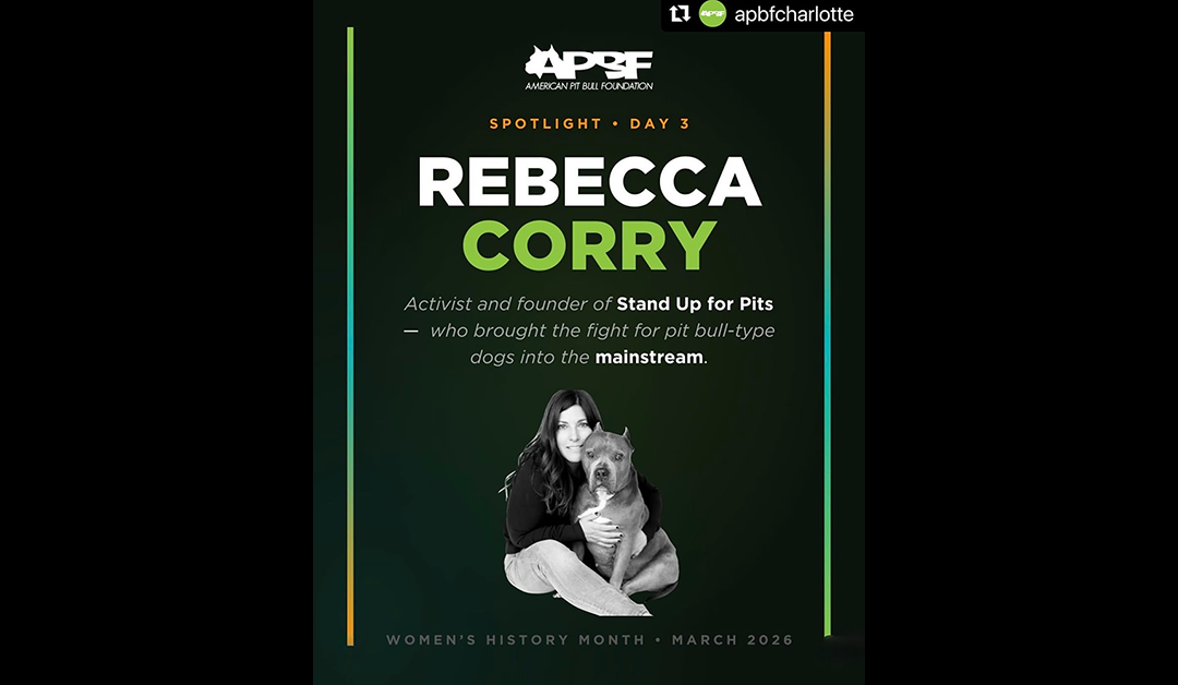 American Pit Bull Foundation Charlotte acknowledges SUFP Foundation