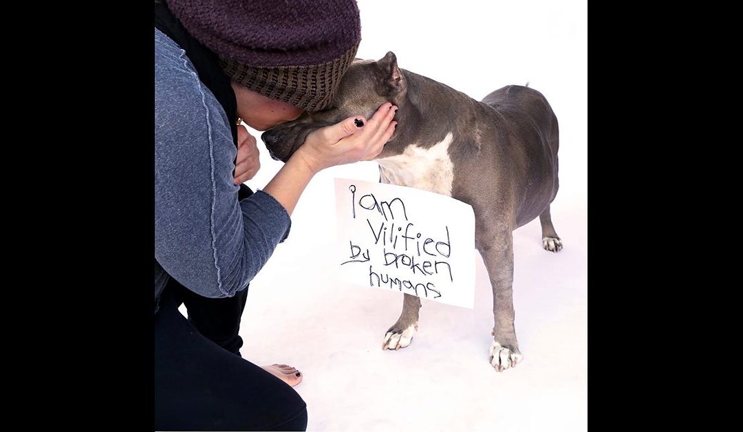 THE TRUTH CAMPAIGN – INSPIRED BY AN ANGEL