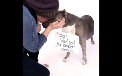 THE TRUTH CAMPAIGN – INSPIRED BY AN ANGEL