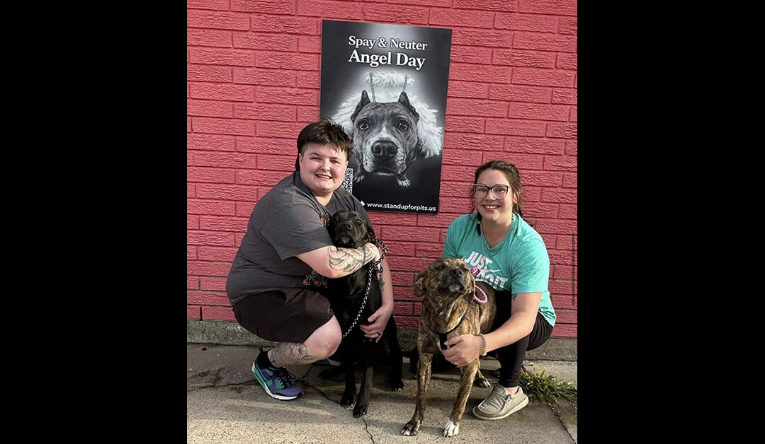 Our national Spay & Neuter Angel Day continued on in Louisiana!!