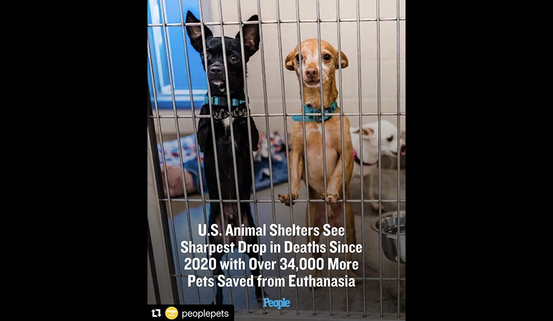 “No Kill” NARRATIVE MUST STOP