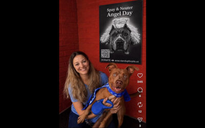 Our national Spay & Neuter Angel Day program continues on in Lafayette Louisiana!