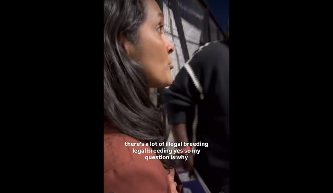 IMAGINE  GOING TO A SHELTER ONLY ONCE AS A CITY OFFICIAL