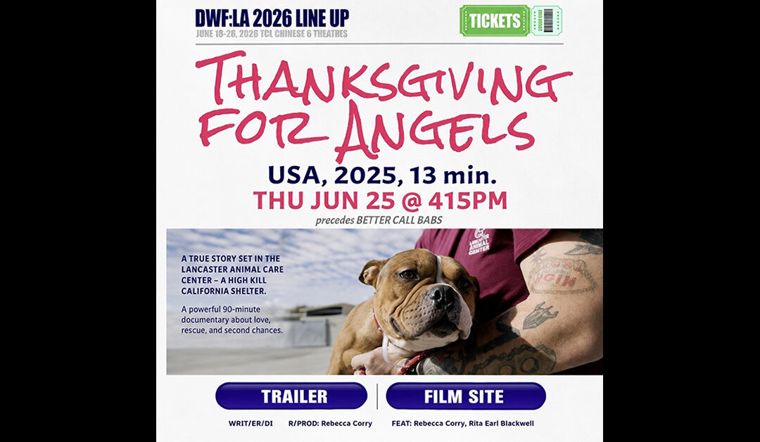Our award winning documentary short film “Thanksgiving For Angels” has been selected into the amazing DWF FILM FESTIVAL!!