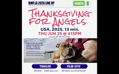 Our award winning documentary short film “Thanksgiving For Angels” has been selected into the amazing DWF FILM FESTIVAL!!
