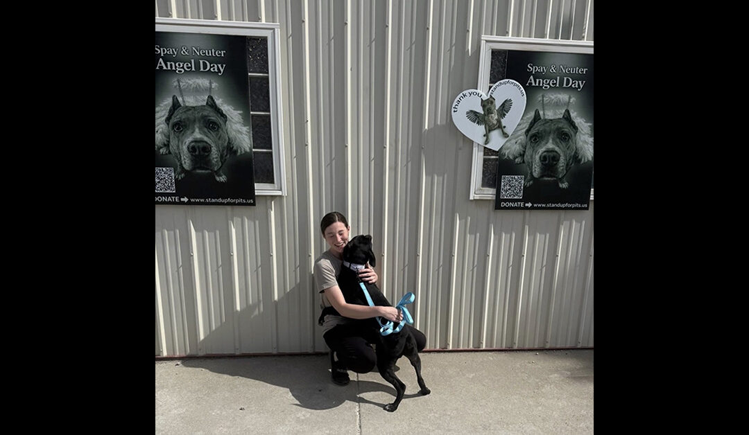 Spay & Neuter Angel Day continues on!