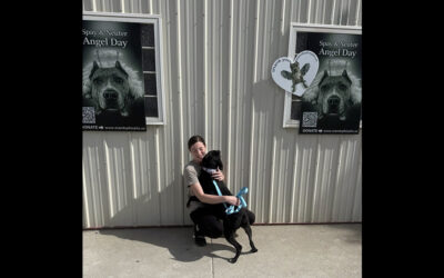 Spay & Neuter Angel Day continues on!