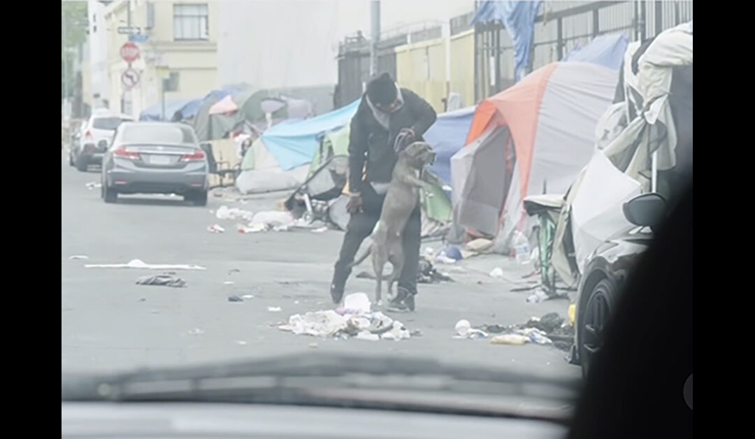 LOS ANGELES CONDONES AND SUPPORTS ANIMAL CRUELTY